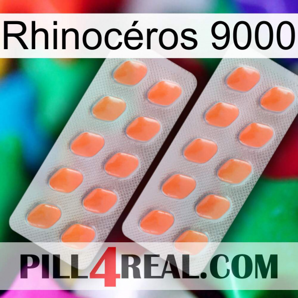 Rhinocéros 9000 27